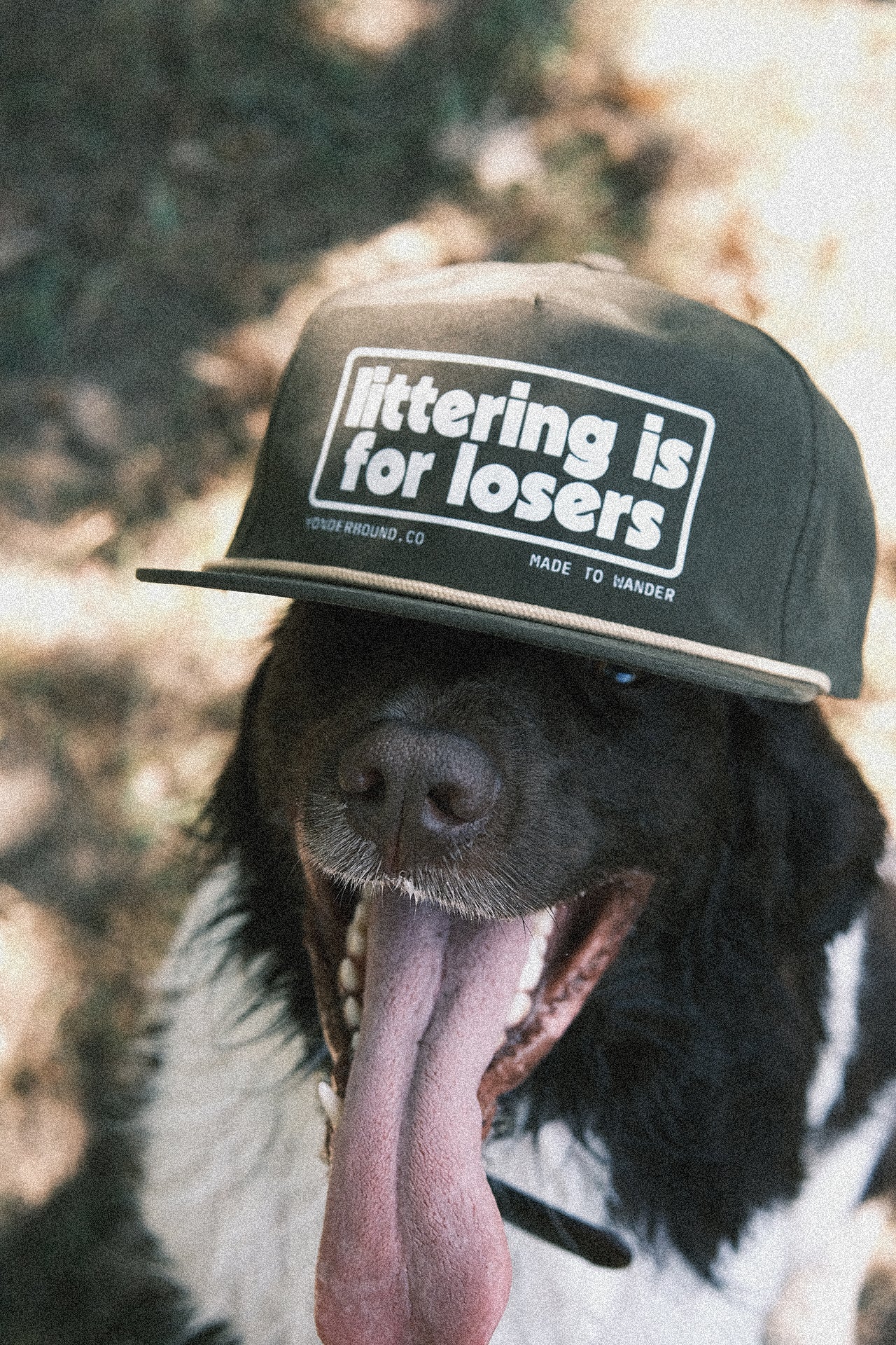 Littering is for Losers Hat